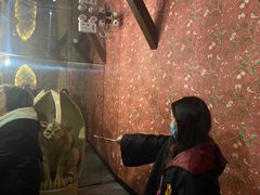 -逃脱反斗城沉浸剧情密室(北京路店)