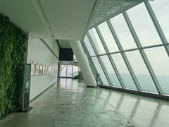 -WFC会仙楼观景台
