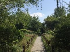 -新江湾城公园