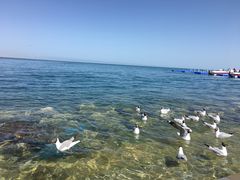 -青海湖国家重点风景名胜区