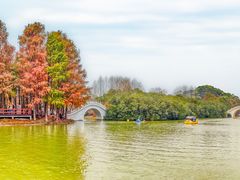 -上海海湾国家森林公园