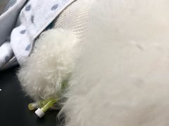 -成都民大动物医院