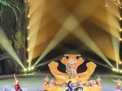 -广州长隆国际大马戏