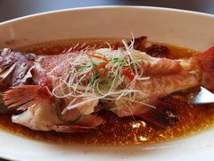 清蒸东星斑-西郊宾馆·1921餐厅