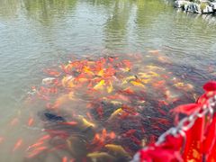 -狼山风景名胜区