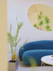 -VE专注问题肌·赛诺龙&科学美肤中心