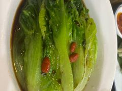 白灼田园生菜-名点一号·精致茶点·手工制作(宝华店)