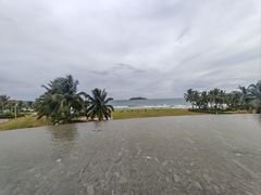 -元素中餐厅.海南菜.粤菜.椰子鸡.海鲜.包房.石梅湾威斯汀度假酒店