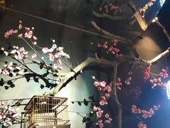 -老板恋上鱼(高新万达店)