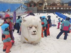 -长沙湘江冰雪世界