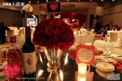 -DNA Wedding 婚礼记(上海店)