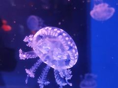 -石林冰雪海洋世界