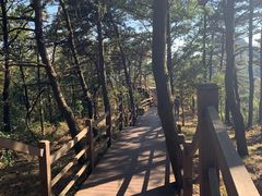 -沂蒙山旅游区云蒙景区(蒙山国家森林公园)