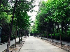 一进门的大坡-北京周口店北京人遗址博物馆