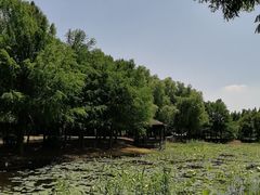-同里国家湿地公园