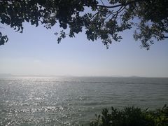 -贡湖湾湿地公园