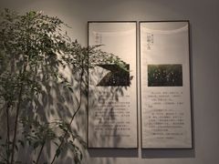 -十二舍·湯物素煮(江泰潤政店)