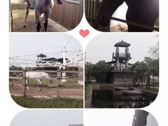 -松声马术俱乐部