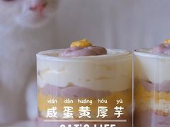-猫咖时代(中山亭店)