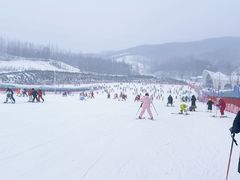 -亚布力新体委滑雪场