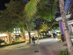 -三亚海昌梦幻海洋不夜城