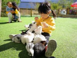 -萌宠亲子动物乐园(槐房万达店)