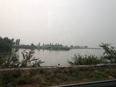 -蒲河岛湿地公园