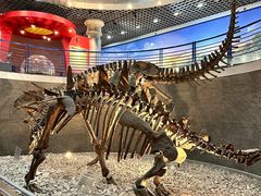 -国家自然博物馆