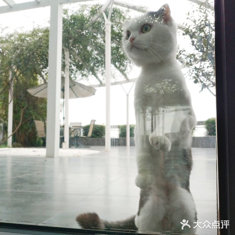 果儿鱼儿是间婚纱店,也是我们的家