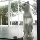 果儿鱼儿是间婚纱店，也是我们的家