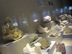 -河南自然博物馆