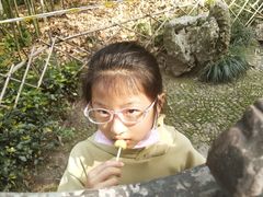 -西湖外事游船(花港观鱼码头)