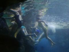 -左海海底世界