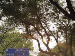 -岳麓山风景名胜区