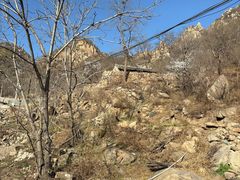 -大岭沟猕猴桃谷风景区