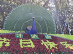 -呀路古热带植物园