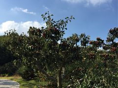 -威海华夏城景区