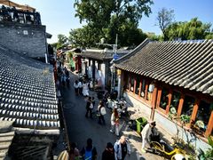 -Sirena海妖日咖夜酒