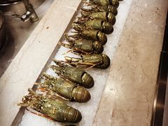 -新发展亚太JW万豪酒店·福苑咖啡厅