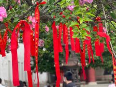 -归元·云集斋素菜馆