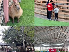 -盈香心动乐园