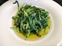 -碧丽宫大酒店(召稼楼店)