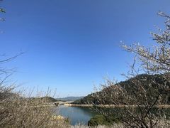 -广州市流溪河国家森林公园