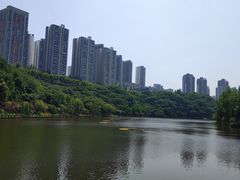 -重庆彩云湖湿地公园