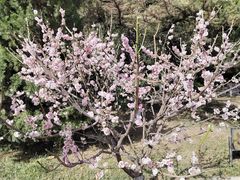 -山东师范大学(千佛山校区)
