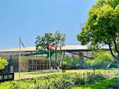 -田园东方蜜桃村的田野营地