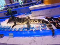 -澜悦港海鲜体验主题餐厅