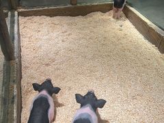 -姑苏二十四集(iD PARK 歌林公园店)