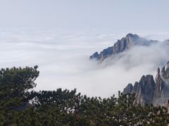 -黄山风景区