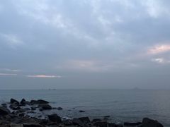 -野狸岛